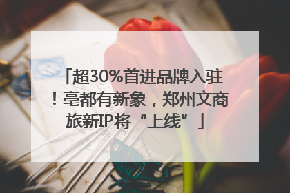超30%首进品牌入驻！亳都有新象，郑州文商旅新IP将“上线”