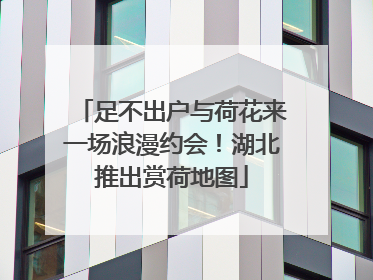 足不出户与荷花来一场浪漫约会！湖北推出赏荷地图