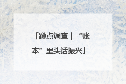 蹲点调查｜“账本”里头话振兴