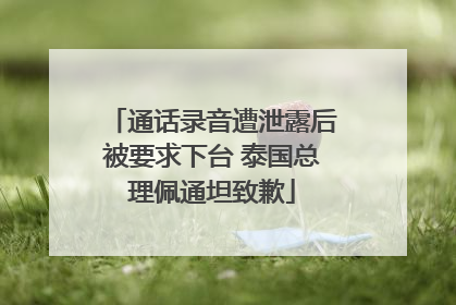 通话录音遭泄露后被要求下台 泰国总理佩通坦致歉