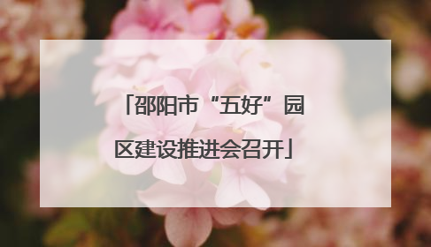 邵阳市“五好”园区建设推进会召开