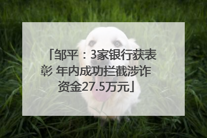 邹平：3家银行获表彰 年内成功拦截涉诈资金27.5万元
