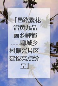 邑路繁花 沿黄九品 画乡鲤都……聊城乡村振兴片区建设亮点纷呈