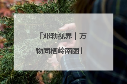 邓勃视界｜万物同栖岭南图