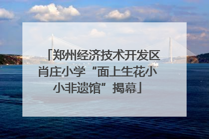 郑州经济技术开发区肖庄小学“面上生花小小非遗馆”揭幕