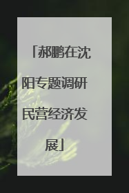 郝鹏在沈阳专题调研民营经济发展