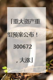 重大资产重组预案公布！300672，大涨