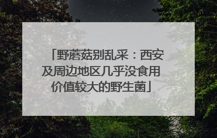 野蘑菇别乱采：西安及周边地区几乎没食用价值较大的野生菌