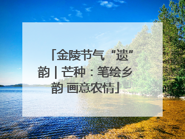金陵节气“遗”韵｜芒种：笔绘乡韵 画意农情