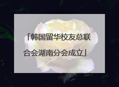 韩国留华校友总联合会湖南分会成立