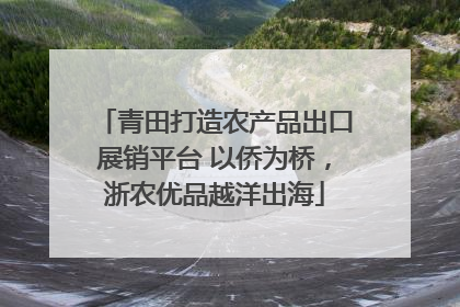 青田打造农产品出口展销平台 以侨为桥，浙农优品越洋出海