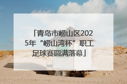 青岛市崂山区2025年“崂山湾杯”职工足球赛圆满落幕