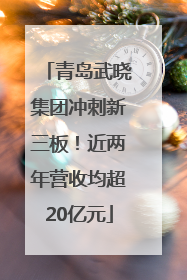青岛武晓集团冲刺新三板！近两年营收均超20亿元