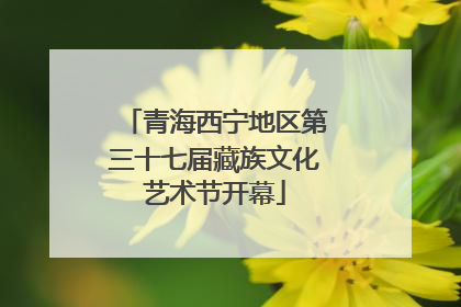 青海西宁地区第三十七届藏族文化艺术节开幕