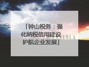 钟山税务：强化纳税信用建设护航企业发展