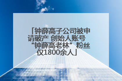 钟薛高子公司被申请破产 创始人账号“钟薛高老林”粉丝仅1800余人
