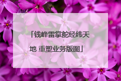钱峰雷掌舵经纬天地 重塑业务版图