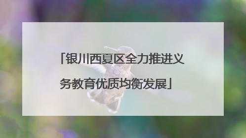 银川西夏区全力推进义务教育优质均衡发展