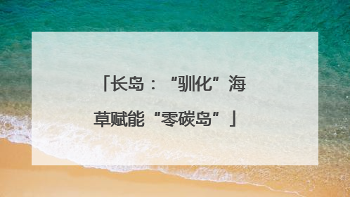 长岛：“驯化”海草赋能“零碳岛”