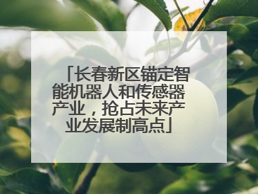 长春新区锚定智能机器人和传感器产业，抢占未来产业发展制高点