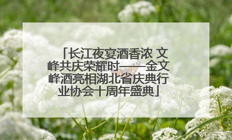 长江夜宴酒香浓 文峰共庆荣耀时——金文峰酒亮相湖北省庆典行业协会十周年盛典