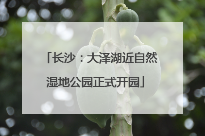长沙：大泽湖近自然湿地公园正式开园