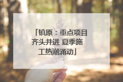 镇原：重点项目齐头并进 夏季施工热潮涌动