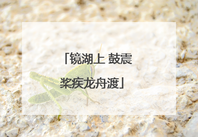 镜湖上 鼓震桨疾龙舟渡