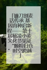 镰刀割麦话传承 基因育种启新程——第十届杨凌小麦文化节见证“颗粒归仓”时空跨越