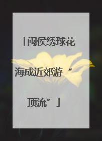 闽侯绣球花海成近郊游“顶流”