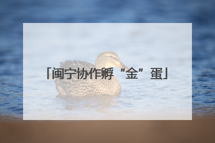 闽宁协作孵“金”蛋