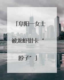 阜阳一女士被龙虾钳卡“脖子”