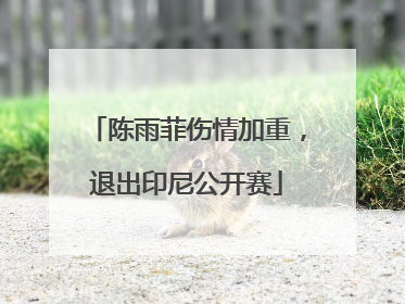 陈雨菲伤情加重，退出印尼公开赛