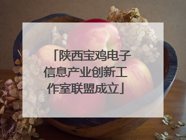 陕西宝鸡电子信息产业创新工作室联盟成立