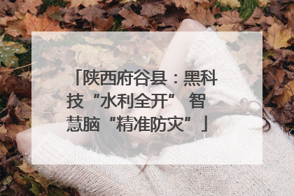 陕西府谷县：黑科技“水利全开” 智慧脑“精准防灾”
