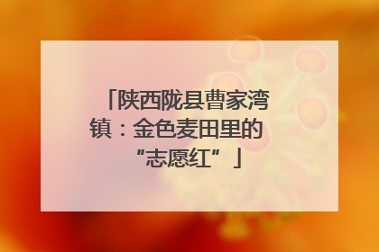 陕西陇县曹家湾镇：金色麦田里的“志愿红”