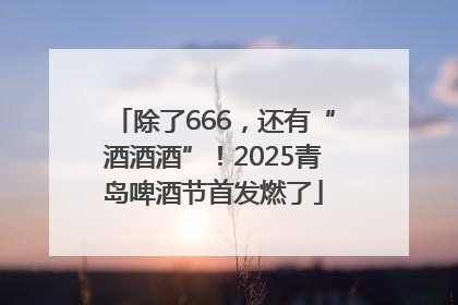 除了666，还有“酒酒酒”！2025青岛啤酒节首发燃了