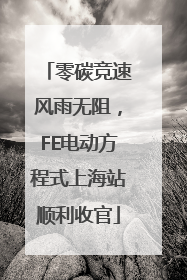 零碳竞速风雨无阻，FE电动方程式上海站顺利收官