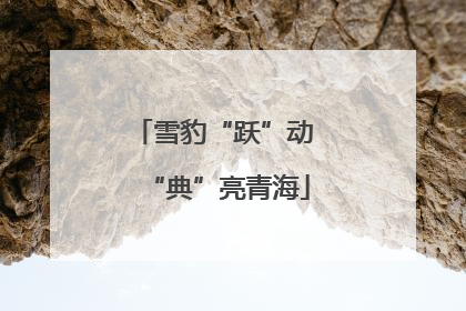 雪豹“跃”动 “典”亮青海