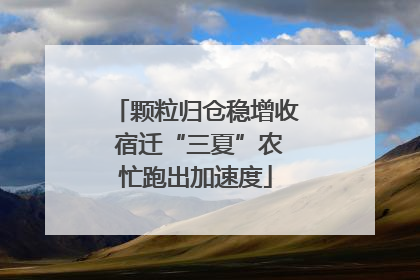 颗粒归仓稳增收 宿迁“三夏”农忙跑出加速度