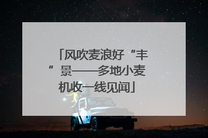 风吹麦浪好“丰”景——多地小麦机收一线见闻