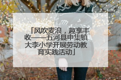 风吹麦浪，趣享丰收——五河县申集镇大李小学开展劳动教育实践活动