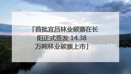 首批宜昌林业碳票在长阳正式签发 14.38万吨林业碳票上市