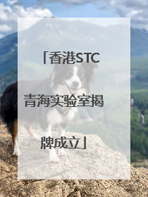 香港STC青海实验室揭牌成立
