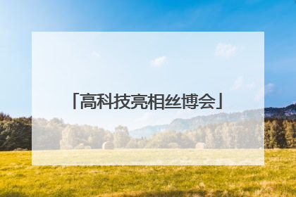 高科技亮相丝博会