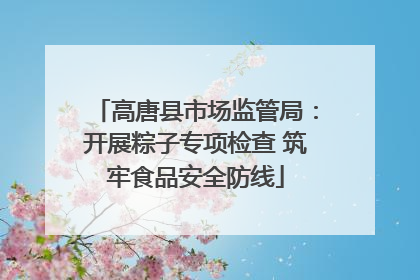 高唐县市场监管局：开展粽子专项检查 筑牢食品安全防线