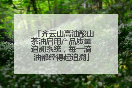 齐云山高油酸山茶油启用产品质量追溯系统，每一滴油都经得起追溯