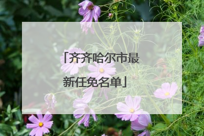 齐齐哈尔市最新任免名单