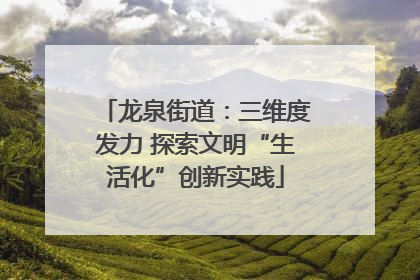 龙泉街道：三维度发力 探索文明“生活化”创新实践