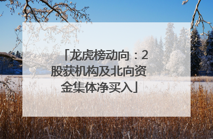 龙虎榜动向：2股获机构及北向资金集体净买入